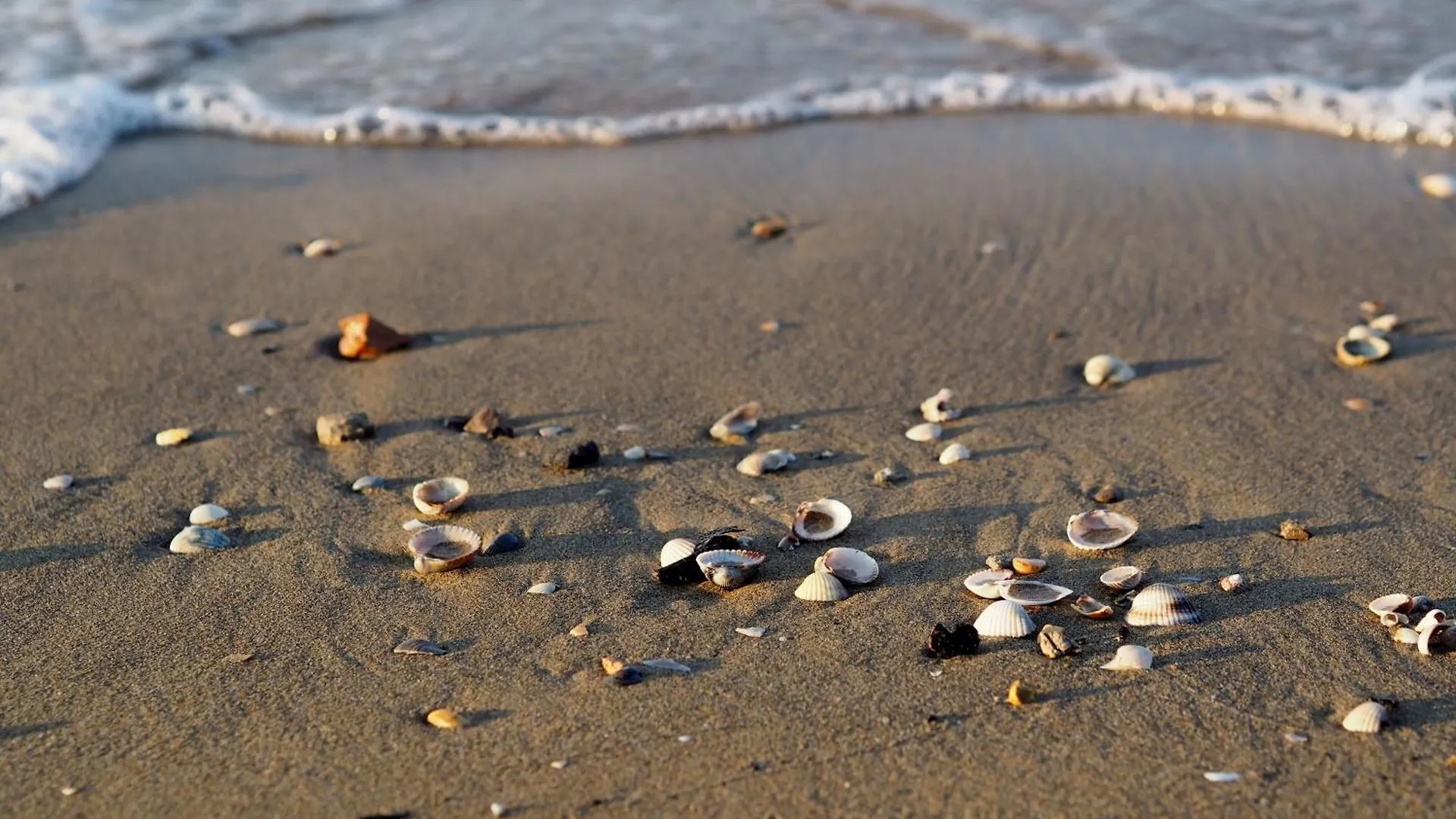 Beachfront Two-Room Apartment For 5 Guests Bibione